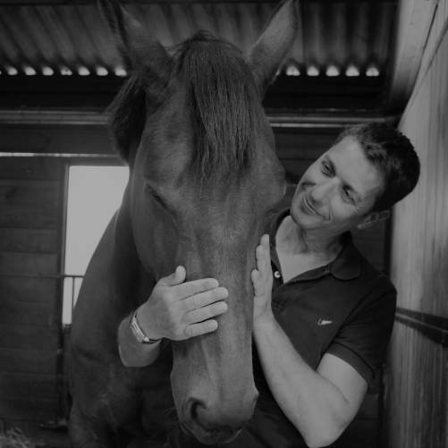 David Lagneux-Tardy, coach PNL, horseman, moniteur équitation, équicoach